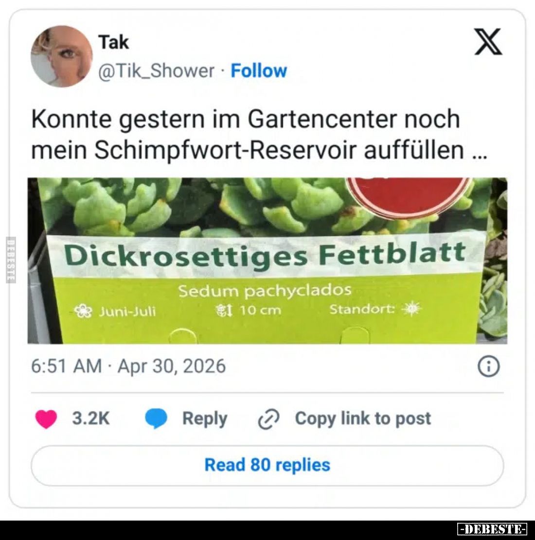 Konnte gestern im Gartencenter noch mein Schimpfwort-Reservoir auffüllen ...