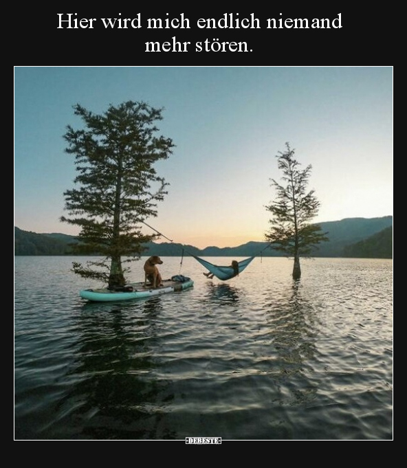 Hier wird mich endlich niemand mehr stören.