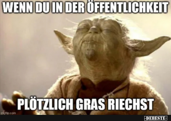 Nederlands Breeze in Cities - Lustige Bilder | DEBESTE.de