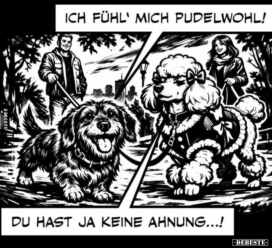 Ich fühl mich pudelwohl!
-
Du hast ja keine Ahnung...!