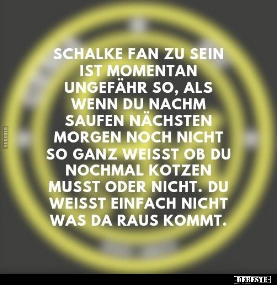 Schalke Fan zu sein ist momentan ungefähr so.. - Lustige Bilder | DEBESTE.de