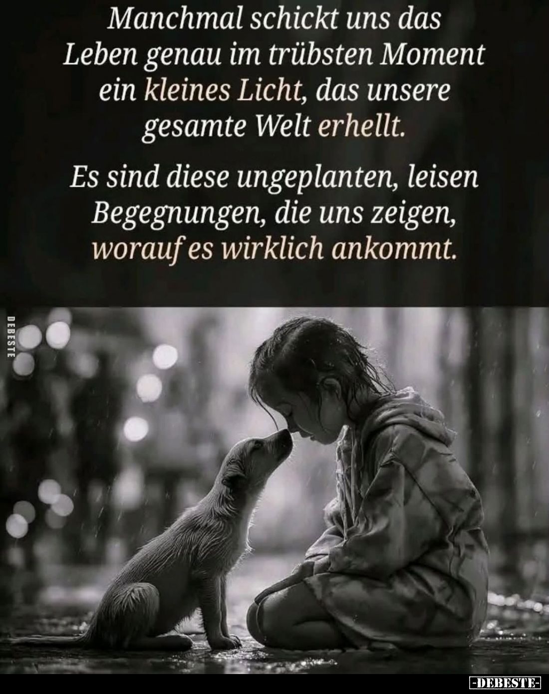 Manchmal schickt uns das Leben genau im trübsten Moment ein kleines Licht, das unsere gesamte Welt erhellt.
Es sind diese ...