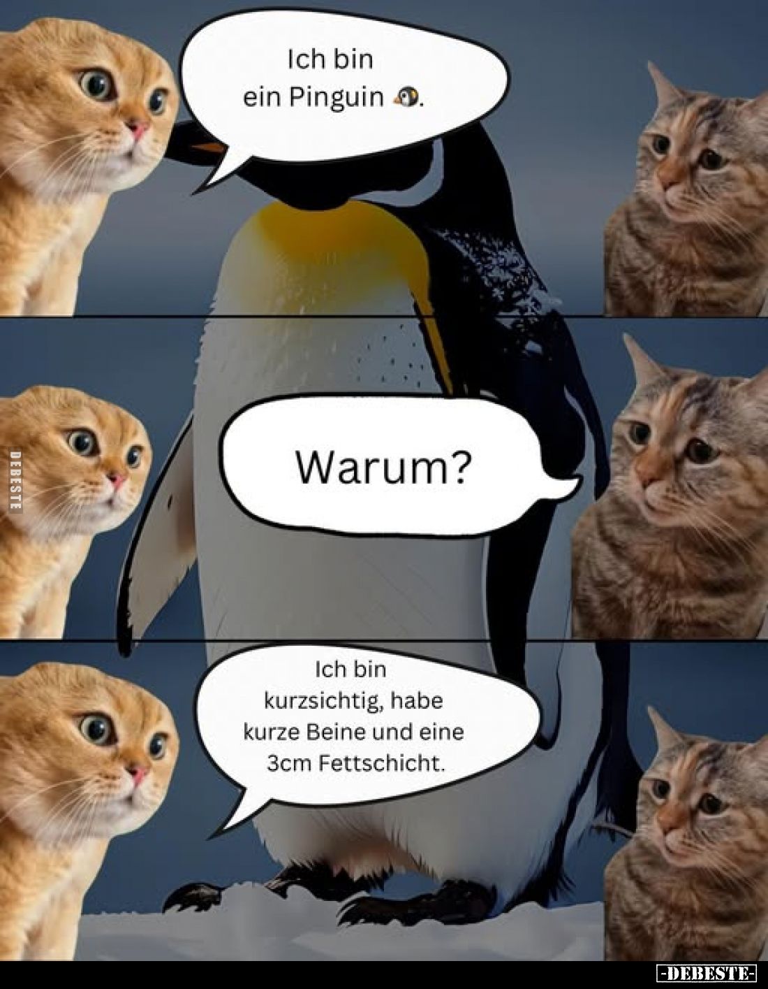 Ich bin ein Pinguin.
-
Warum?
-
Ich bin kurzsichtig, habe kurze Beine und eine 3cm Fettschicht.