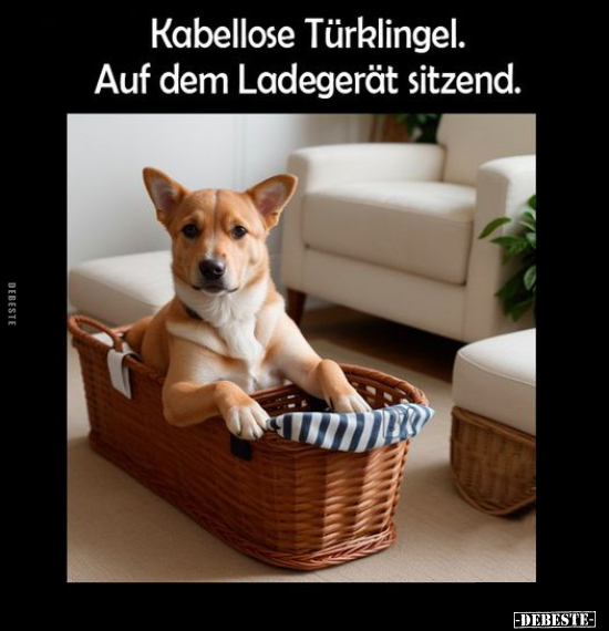 Kabellose Türklingel.. - Lustige Bilder | DEBESTE.de