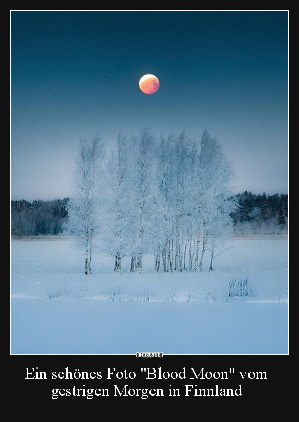 Ein schönes Foto "Blood Moon" vom gestrigen Morgen in.. - Lustige Bilder | DEBESTE.de