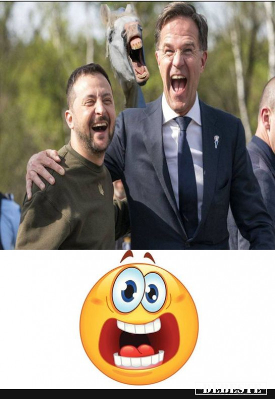 Ein Wettkampf ? - Lustige Bilder | DEBESTE.de