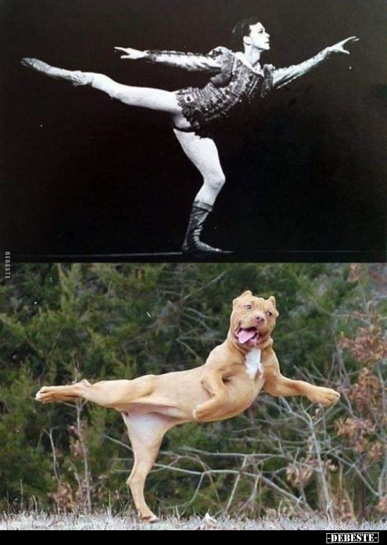  - Lustige Bilder | DEBESTE.de