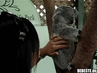  - Lustige Bilder | DEBESTE.de