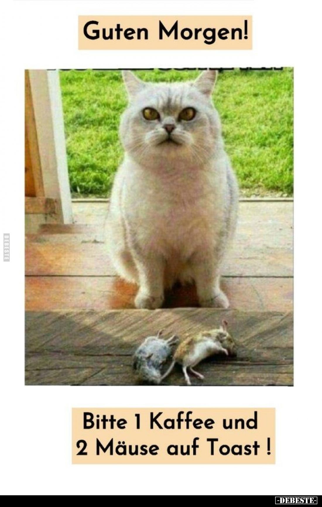 Guten Morgen!
Bitte 1 Kaffee und 2 Mäuse auf Toast!