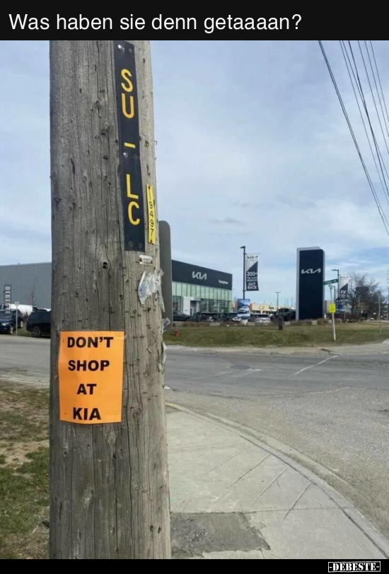 Was haben sie denn getaaaan?..