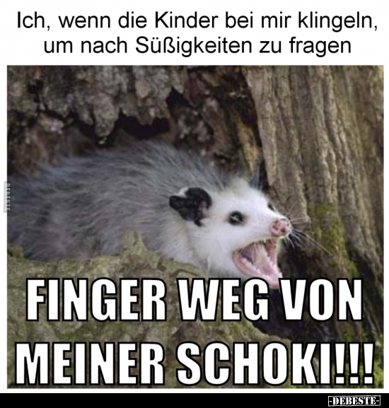 Ich, wenn die Kinder bei mir klingeln, um nach Süßigkeiten zu fragen.. - Lustige Bilder | DEBESTE.de