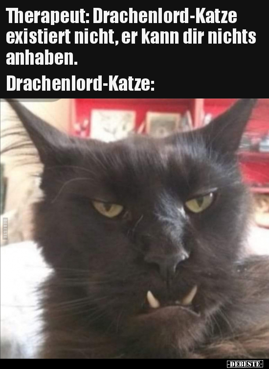 Therapeut: Drachenlord-Katze existiert nicht, er kann dir.. - Lustige Bilder | DEBESTE.de