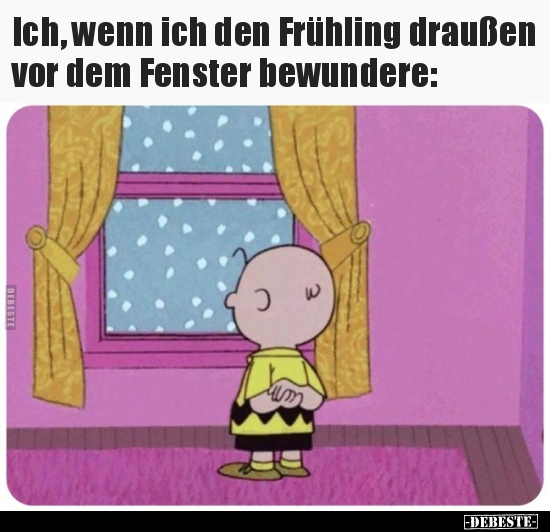Ich, wenn ich den Frühling draußen vor dem Fenster bewundere: