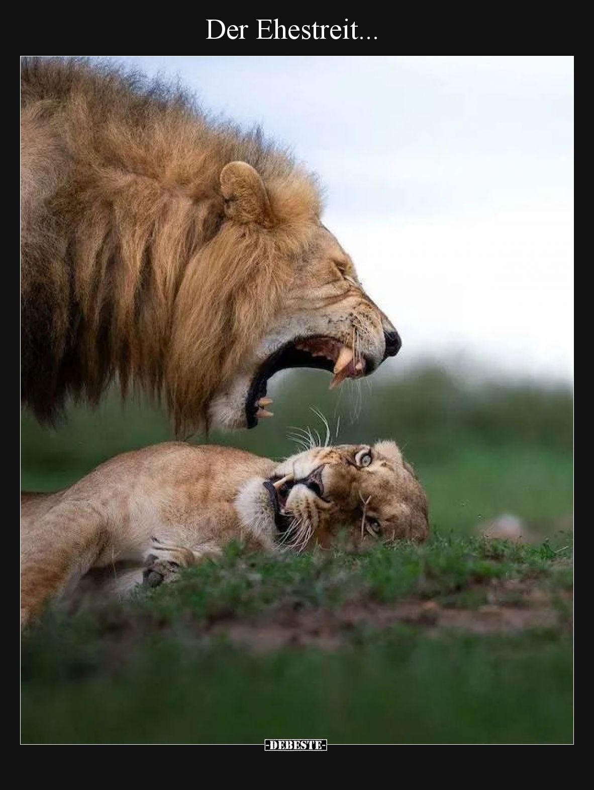 Der Ehestreit...
