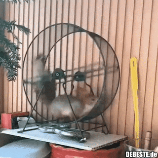 Und so weiter und weiter und weiter...