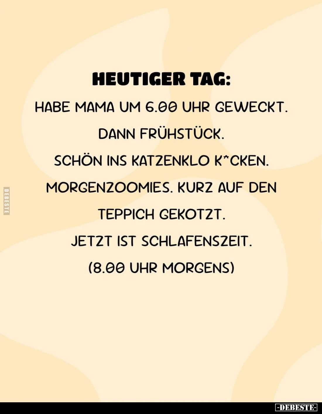 Heutiger Tag:
Habe Mama um 6.00 Uhr geweckt.
Dann Frühstück.
Schön ins Katzenklo kacken.
Morgenzoomies. Kurz auf den Tepp...