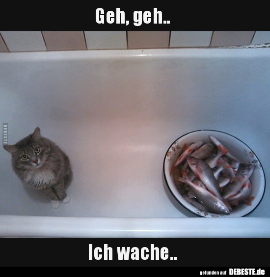 Geh, geh..