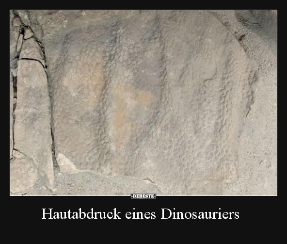 Hautabdruck eines Dinosauriers.. - Lustige Bilder | DEBESTE.de