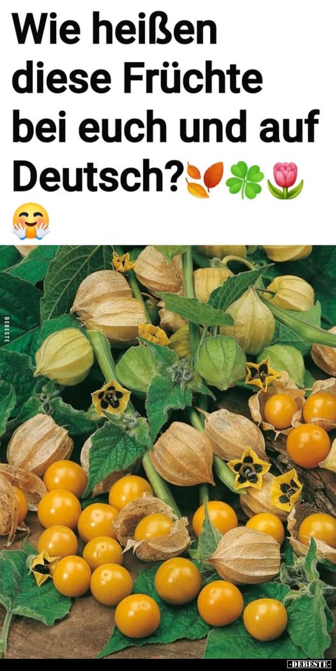 Wie heißen diese Früchte bei euch und auf Deutsch?