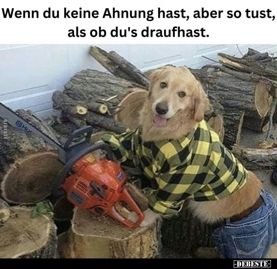 Wenn du keine Ahnung hast, aber so tust.. - Lustige Bilder | DEBESTE.de