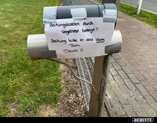 Zeitungskasten durch Vogelnest belegt!! Zeitung bitte in.. - Lustige Bilder | DEBESTE.de