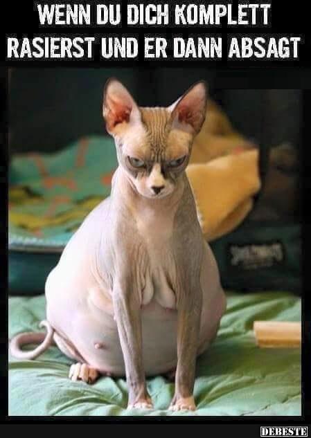 Wenn du dich komplett rasierst und..