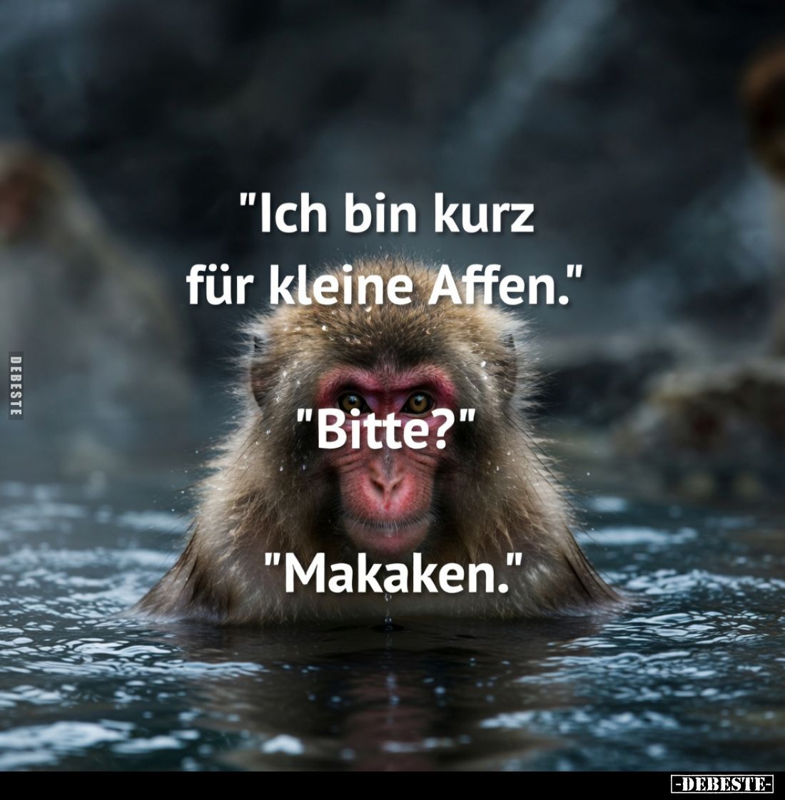 "Ich bin kurz für kleine Affen." "Bitte?" "Makaken.".. - Lustige Bilder | DEBESTE.de
