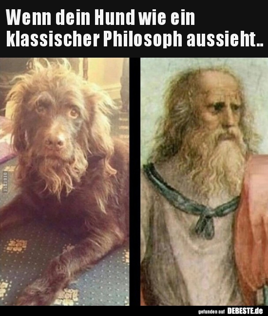 Wenn dein Hund wie ein klassischer Philosoph..