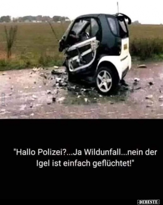 "Hallo Polizei?...Ja Wildunfall...nein der Igel ist einfach.." - Lustige Bilder | DEBESTE.de