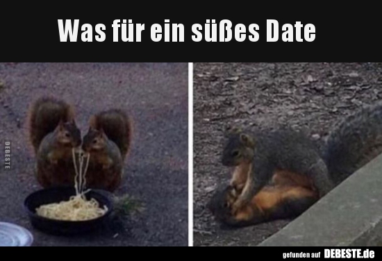 Was für ein süßes Date.. - Lustige Bilder | DEBESTE.de