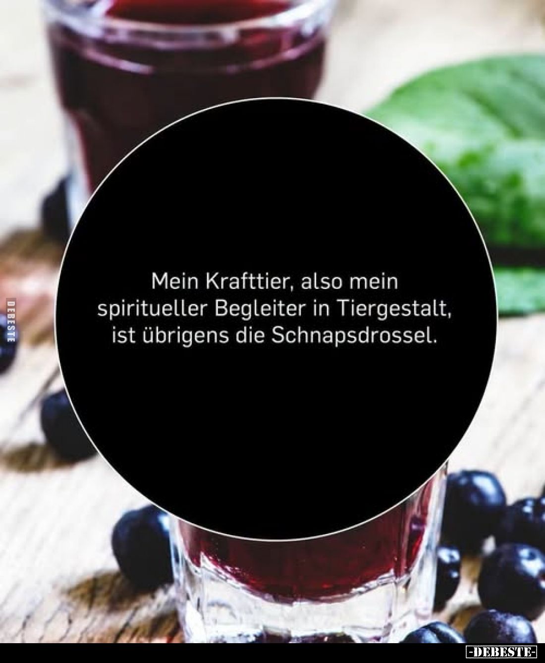 Mein Krafttier, also mein spiritueller Begleiter in Tiergestalt, ist übrigens die Schnapsdrossel.