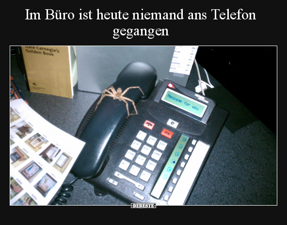 Im Büro ist heute niemand ans Telefon gegangen.. - Lustige Bilder | DEBESTE.de