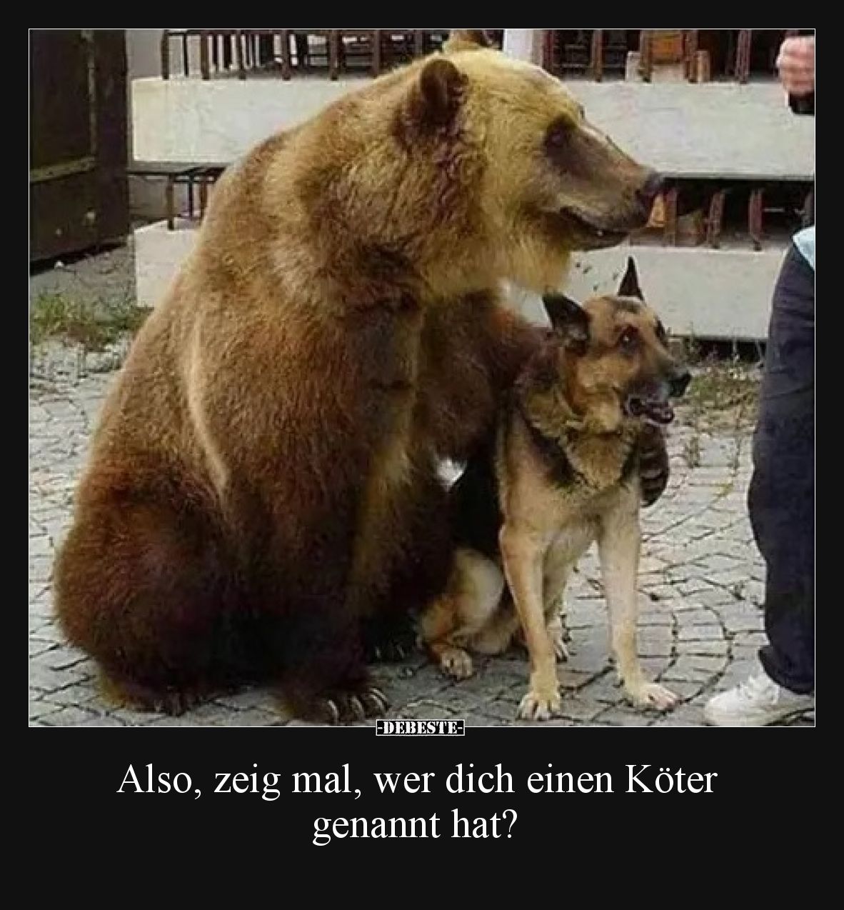 Also, zeig mal, wer dich einen Köter genannt hat?