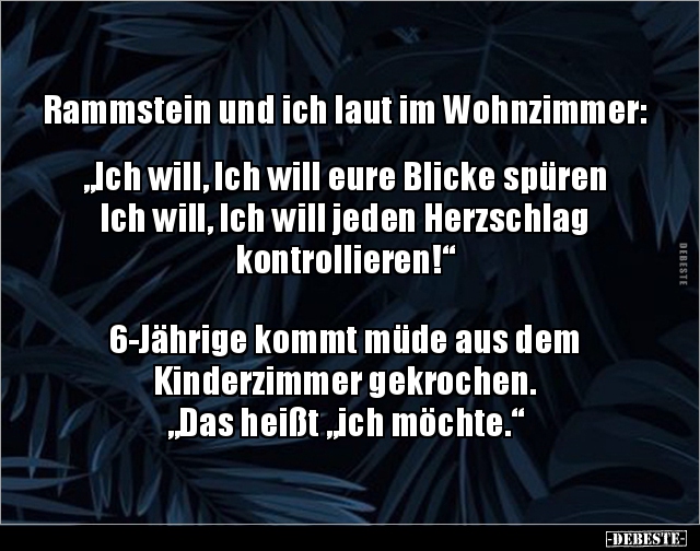 Rammstein und ich laut im Wohnzimmer:  „Ich will, Ich.. - Lustige Bilder | DEBESTE.de