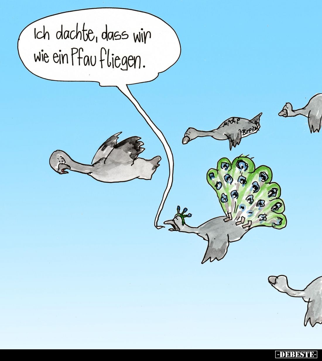 Ich dachte, dass wir wie ein Pfau fliegen.