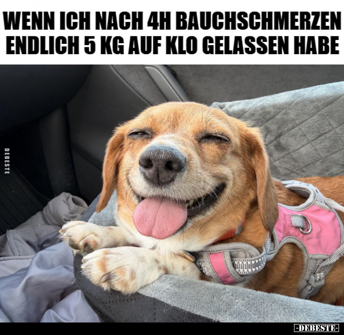 Wenn ich nach 4h Bauchschmerzen endlich 5 kg auf Klo.. - Lustige Bilder | DEBESTE.de