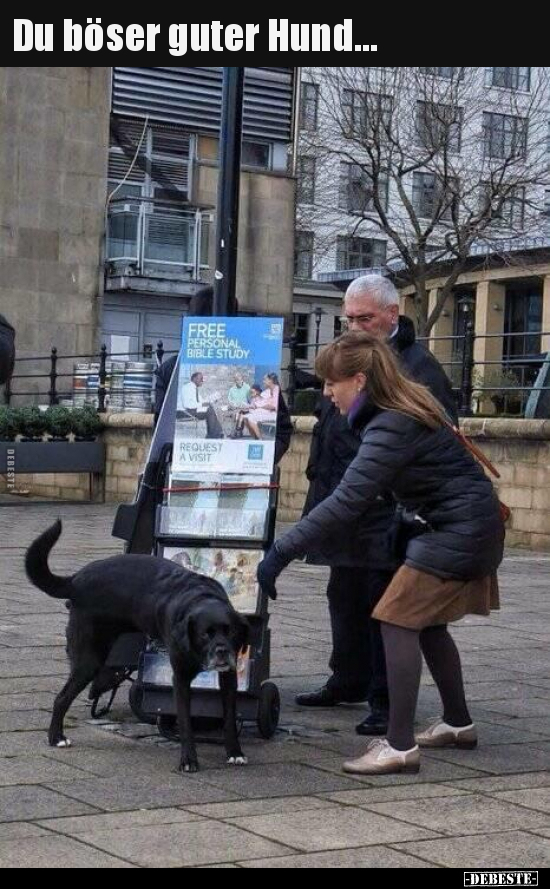 Du böser guter Hund... - Lustige Bilder | DEBESTE.de