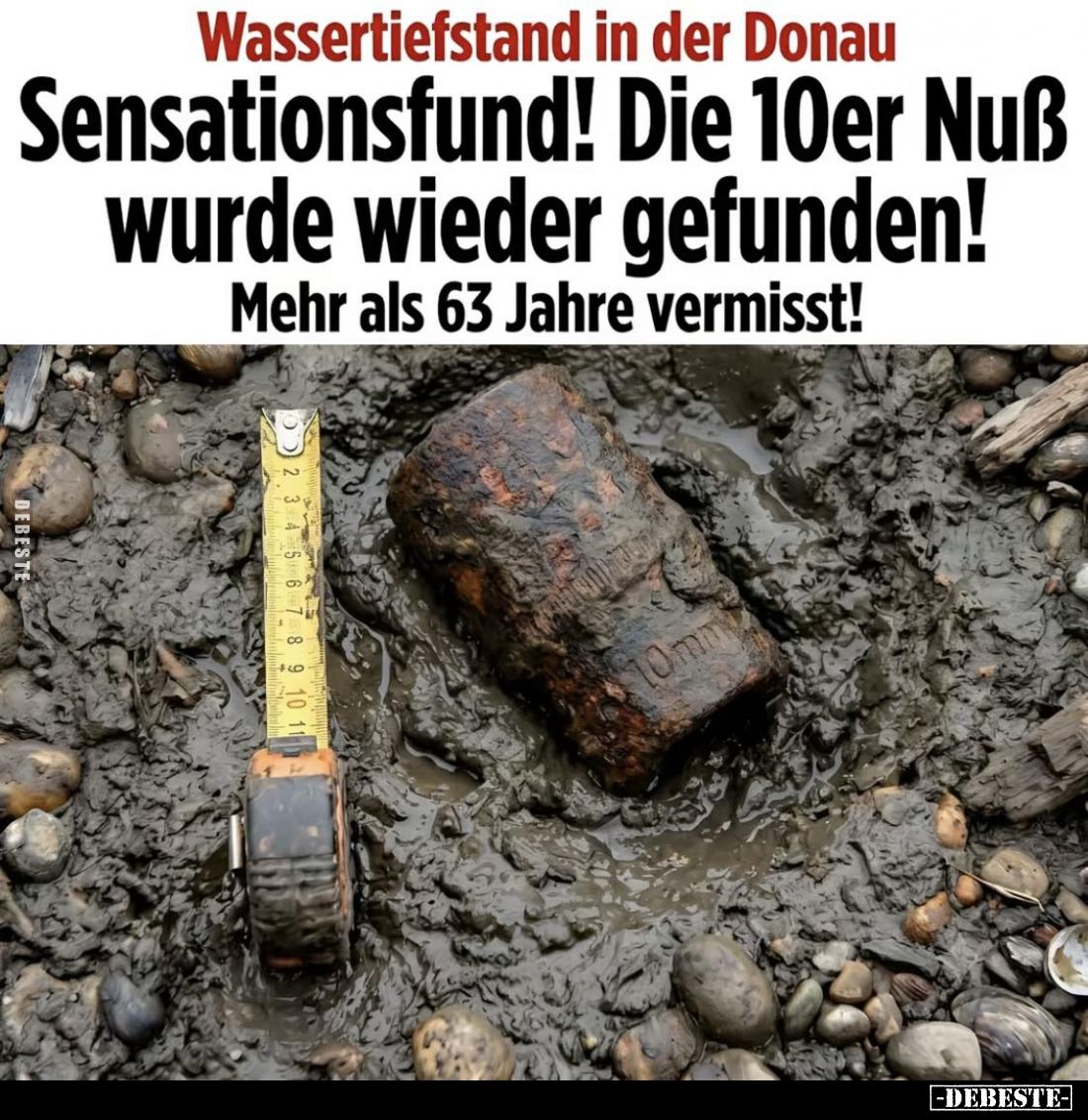 Wassertiefstand in der Donau.
Sensationsfund! Die 10er Nuß wurde wieder gefunden!
Mehr als 63 Jahre vermisst!