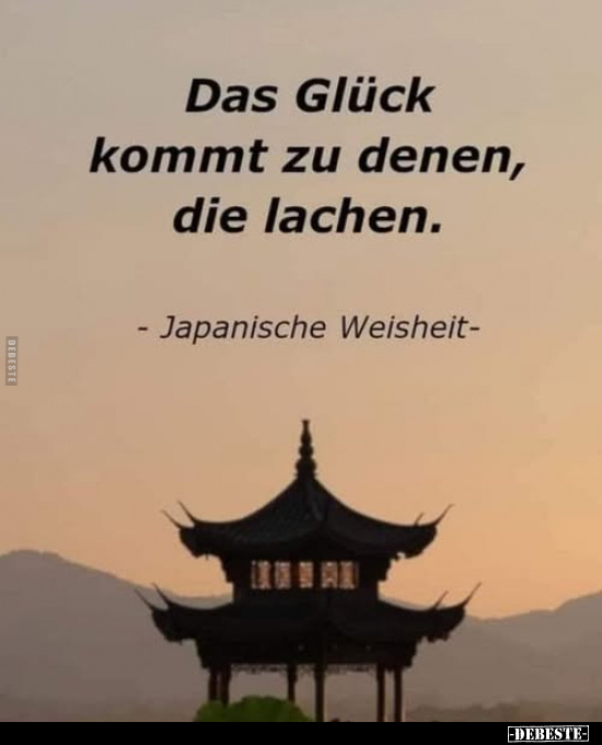 Lustige Bilder zum Thema: Glück, Lachen