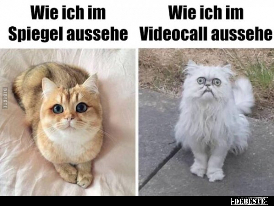 Wie ich im Spiegel aussehe / Wie ich im Videocall.. - Lustige Bilder | DEBESTE.de