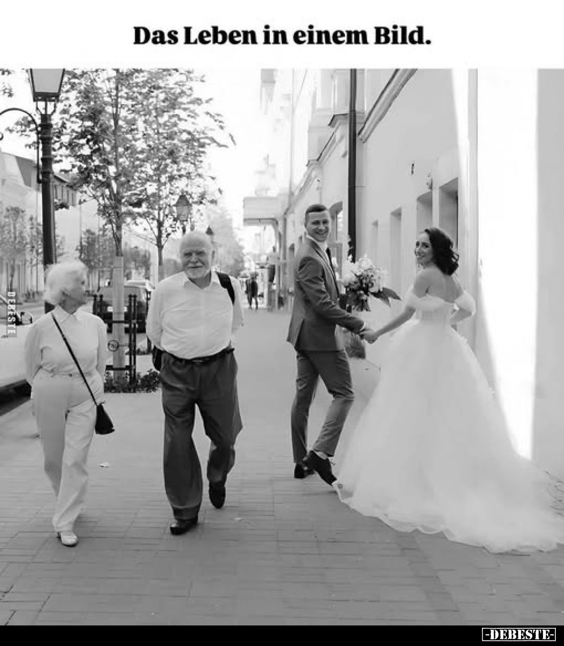 Das Leben in einem Bild.
