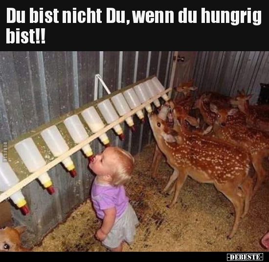 Du bist nicht Du, wenn du hungrig bist!!.. - Lustige Bilder | DEBESTE.de