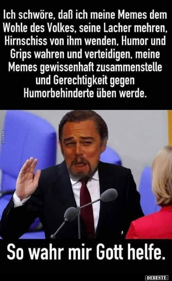 Ich schwöre, daß ich meine Memes.. - Lustige Bilder | DEBESTE.de