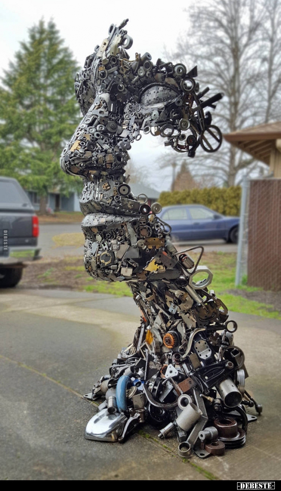  - Lustige Bilder | DEBESTE.de