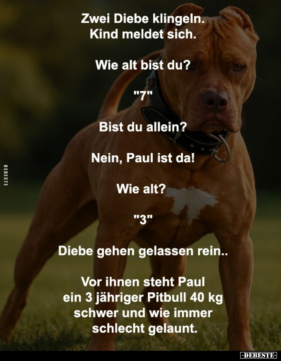 Zwei Diebe klingeln. -
Kind meldet sich. -

Wie alt bist du? - 

"7" -
Bist du allein? -

Nein, Paul ist da...