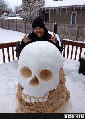 Ein Dickschädel im Vorgarten?