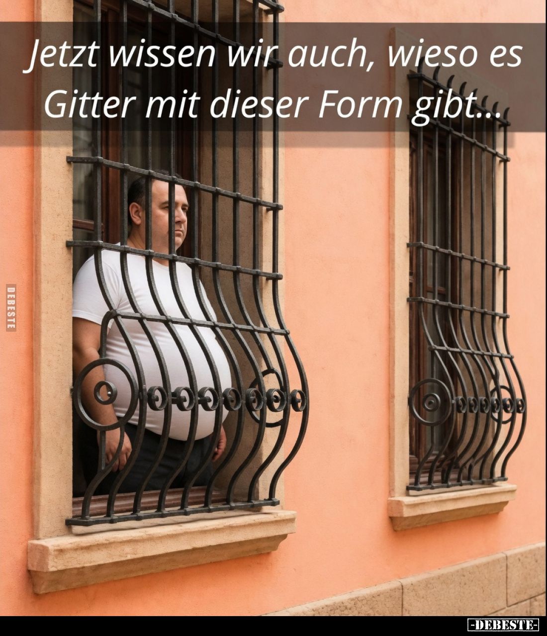 Jetzt wissen wir auch, wieso es Gitter mit dieser Form gibt...