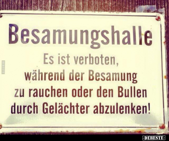 Besamungshalle - Es ist verboten, während der Besamung.. - Lustige Bilder | DEBESTE.de