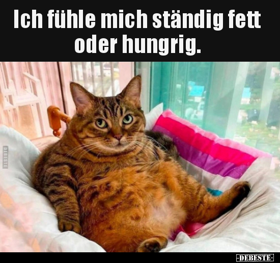 Ich fühle mich ständig fett oder hungrig... - Lustige Bilder | DEBESTE.de