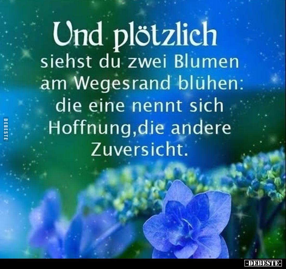 Und plötzlich siehst du zwei Blumen am Wegesrand blühen: die eine nennt sich Hoffnung, die andere Zuversicht.
